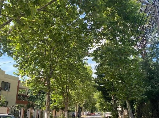 Eric Guest house Eforie Sud (Constanta)